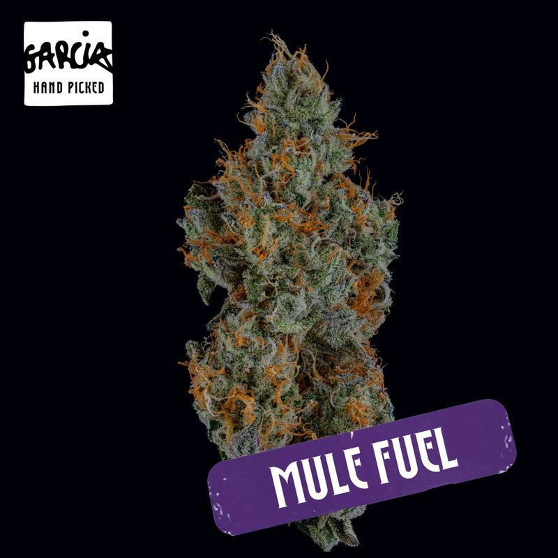 Garcia Hand Picked: Mule Fuel
