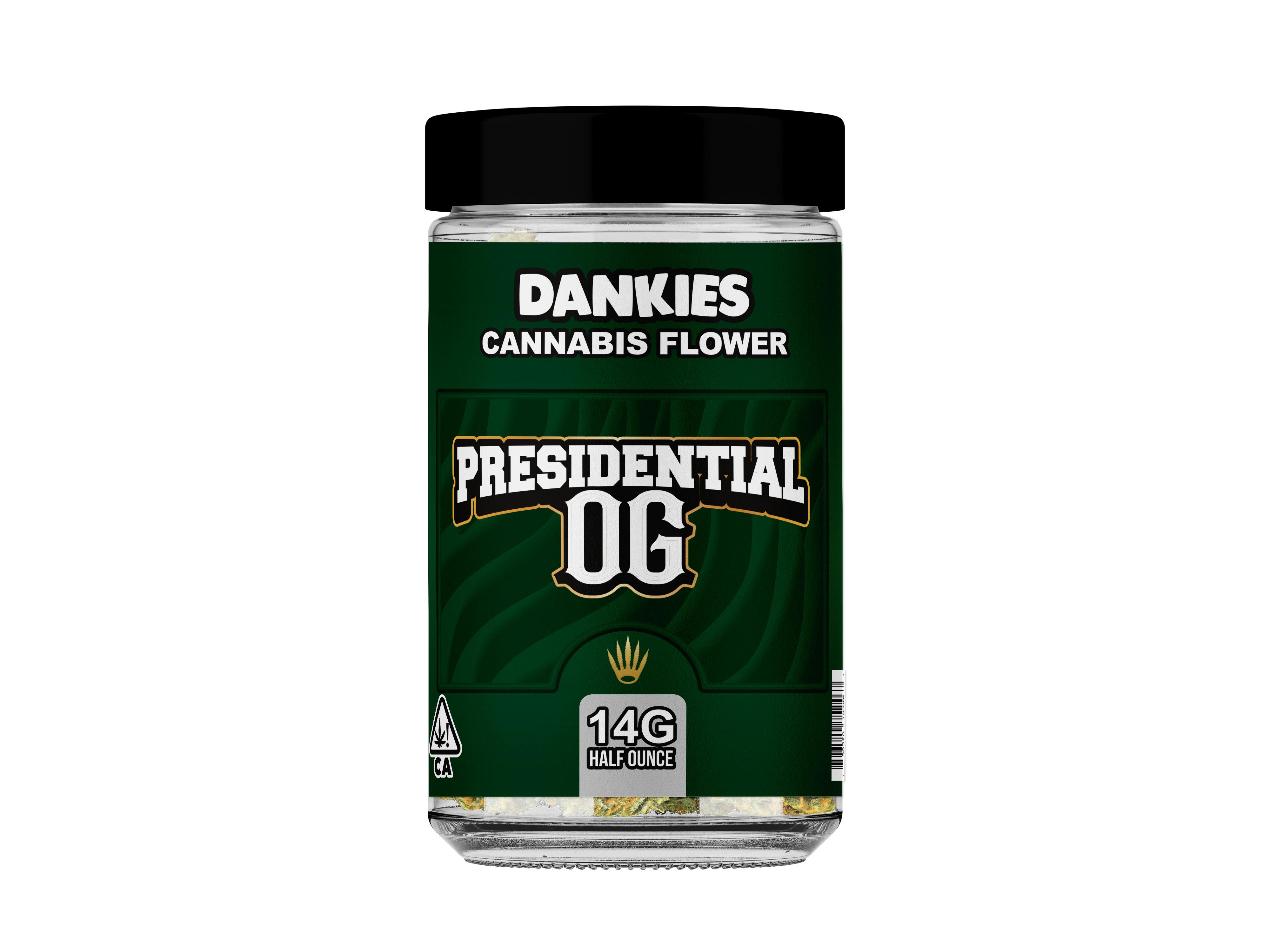 DANKIES -: Gg4