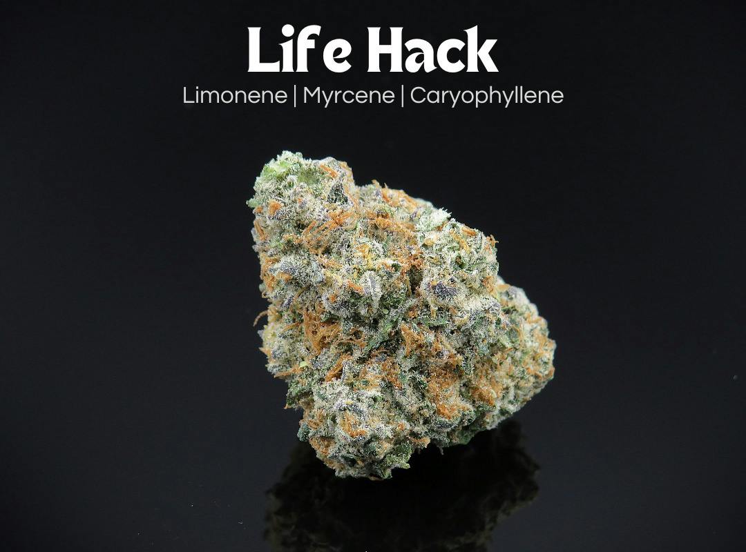 Life Hack | Flower