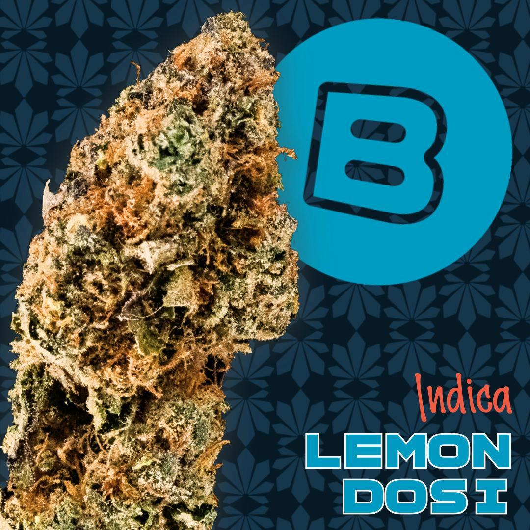 Lemon Dosi | Flower