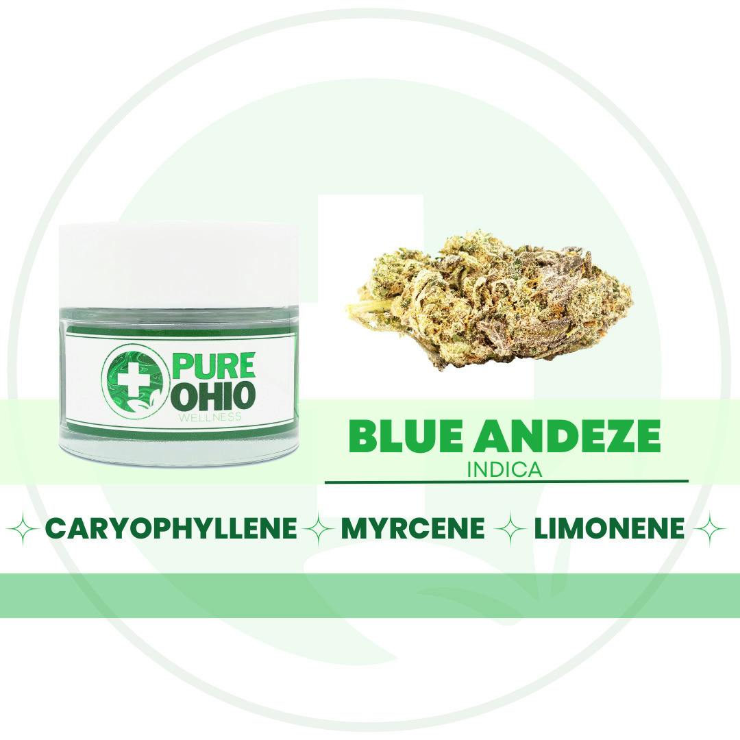 Blue Andeze | Flower