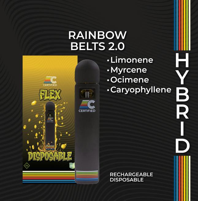 Rainbow Belts 2.0 | Flex Disposable