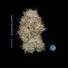 Ridgeline Lantz | Flower