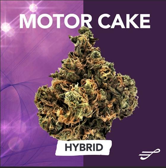 Motor Cake | Flower