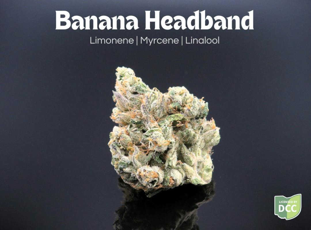 Banana Headband | Flower 1