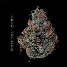 Orange 43 | Flower 1