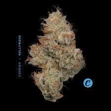 Hollywood | Flower