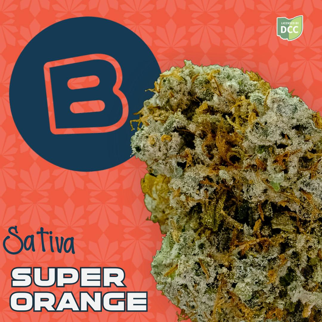 Super Orange | Flower