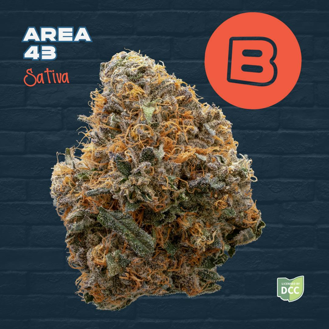 Area 43 | Flower