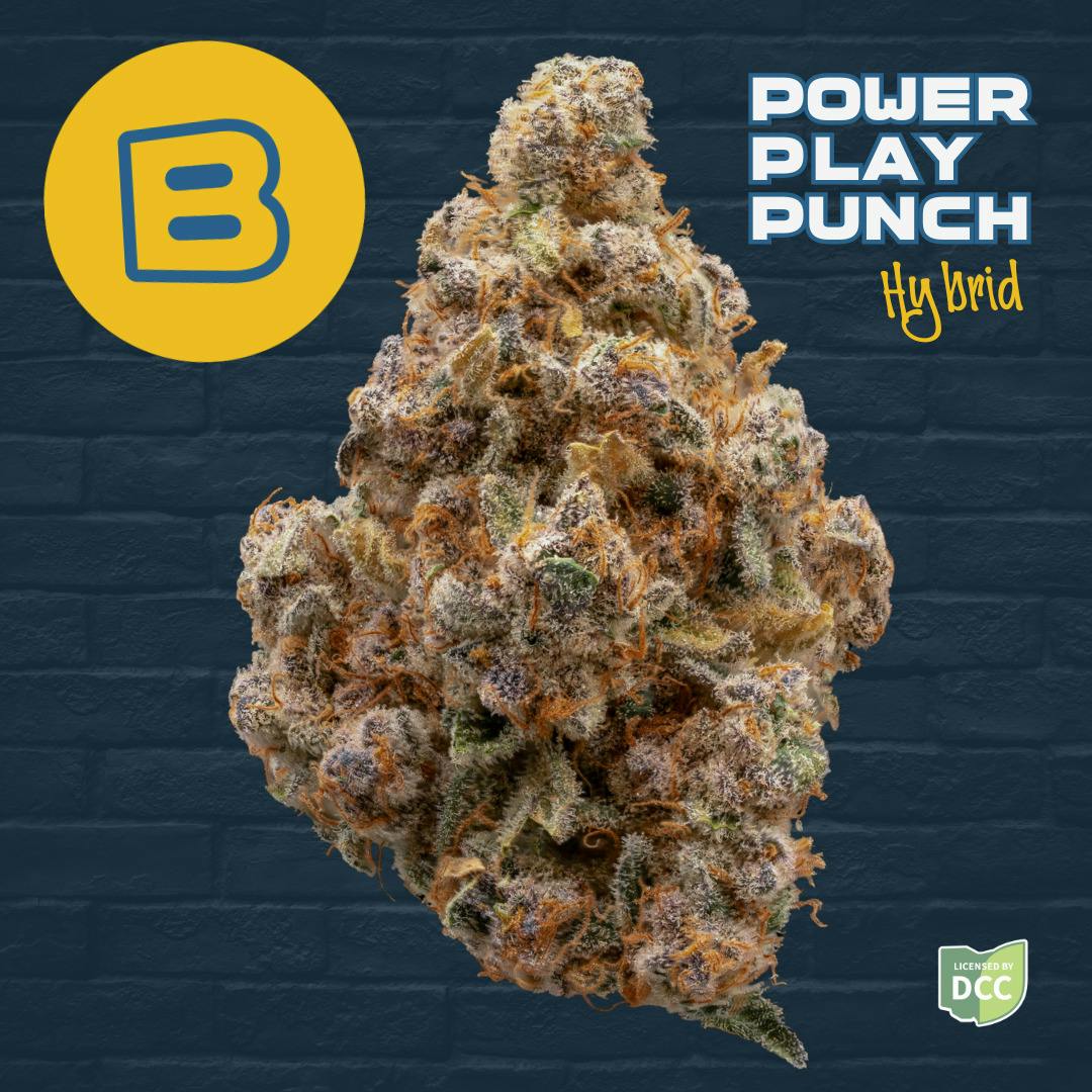 Powerplay Punch | Flower
