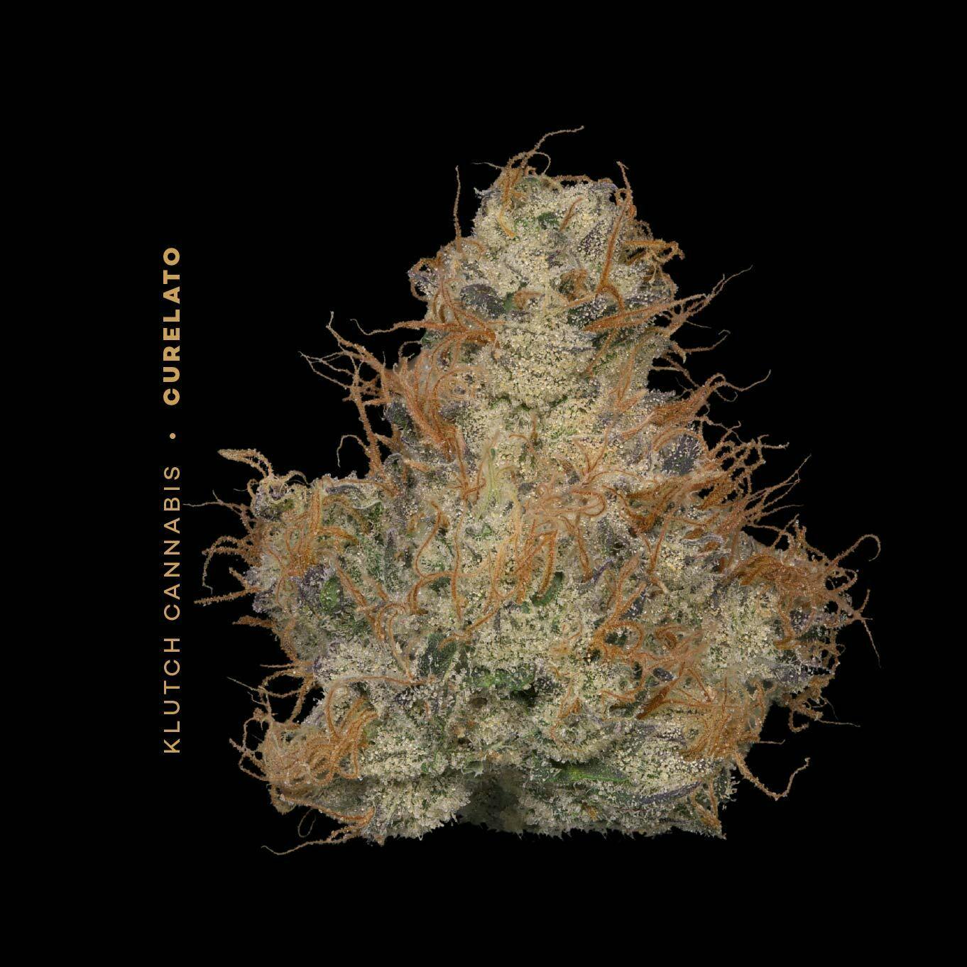Curelato | Flower