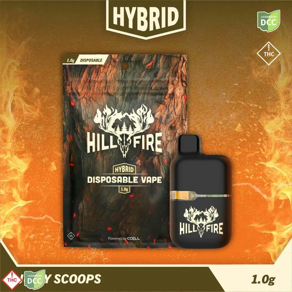 Jcy Scoops | Disposable