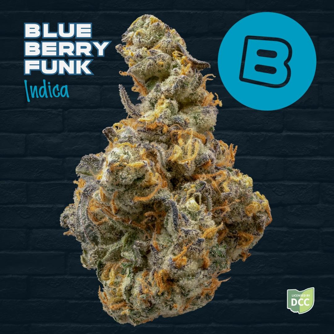 Blueberry Funk | Flower