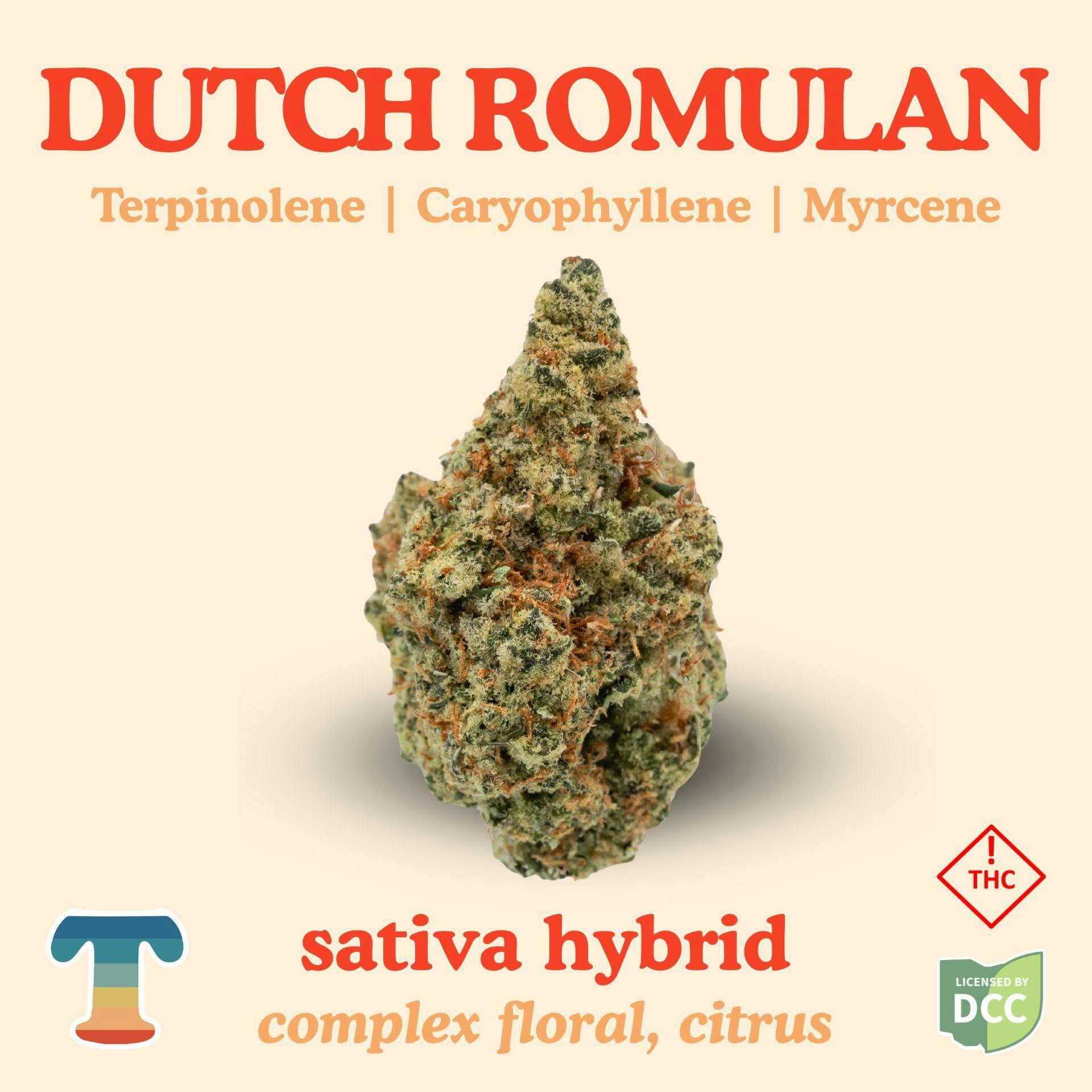 Dutch Romulan | Flower