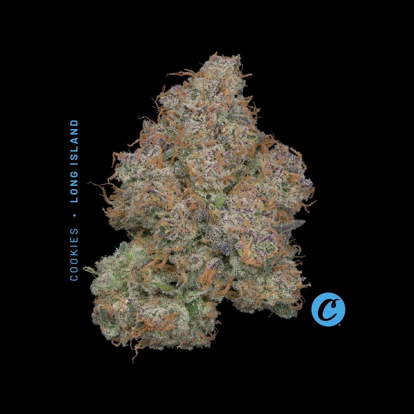 Long Island | Flower