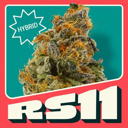 RS11 | Flower 1
