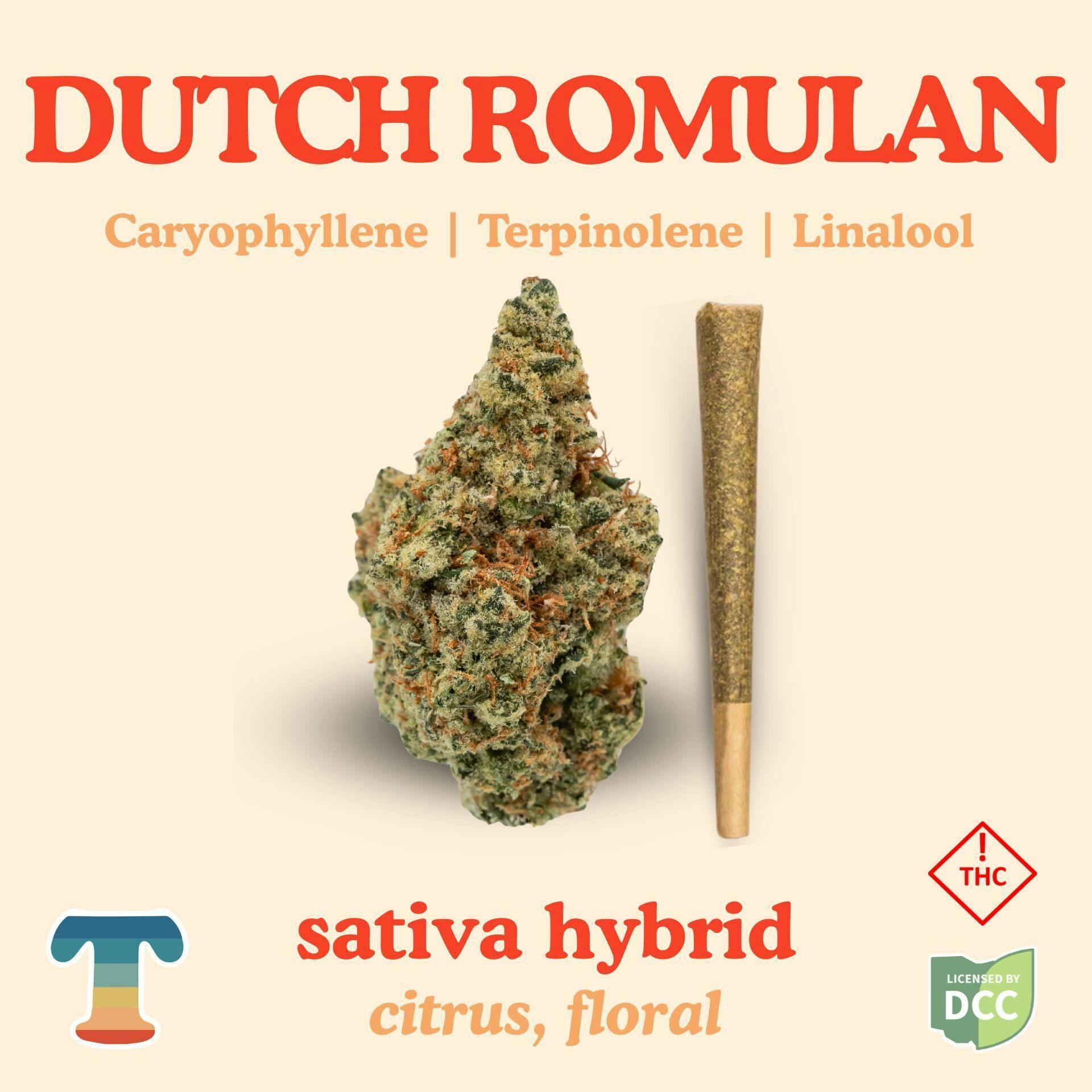 Dutch Romulan | Raw Pre-Roll
