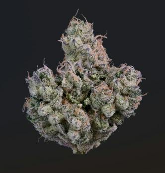 Papa Burger | Flower