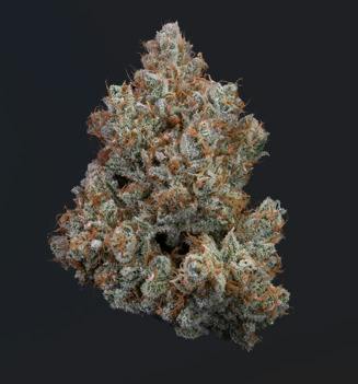 Citrus Pulp | Flower