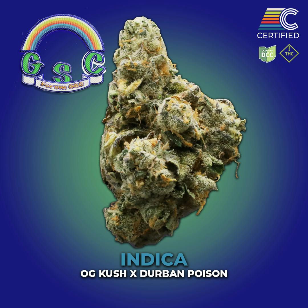 Forum GSC | Flower