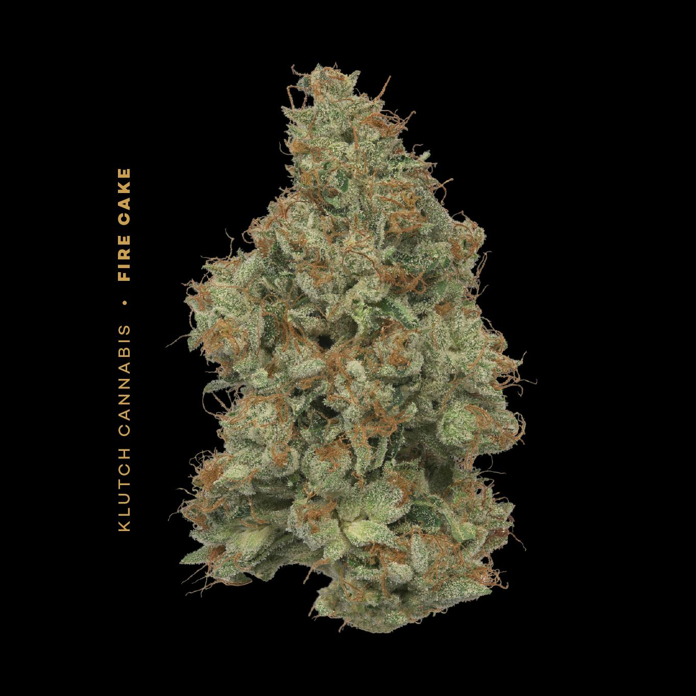 Fire Cake | Flower