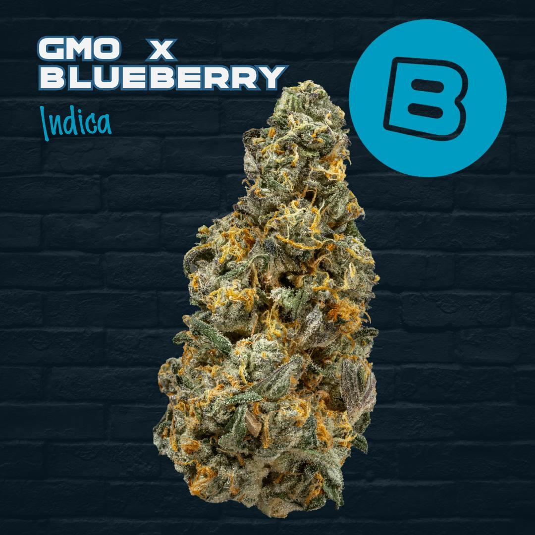 GMO x Blueberry | Flower