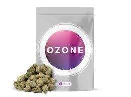 Ozone Hashburger smalls