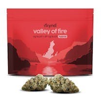Kynd Valley of Fire (H) Flower