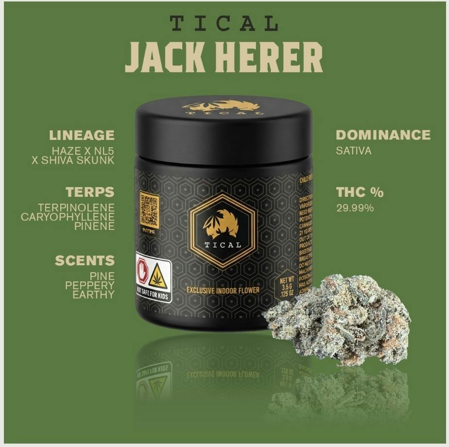 TICAL - Jack Herer