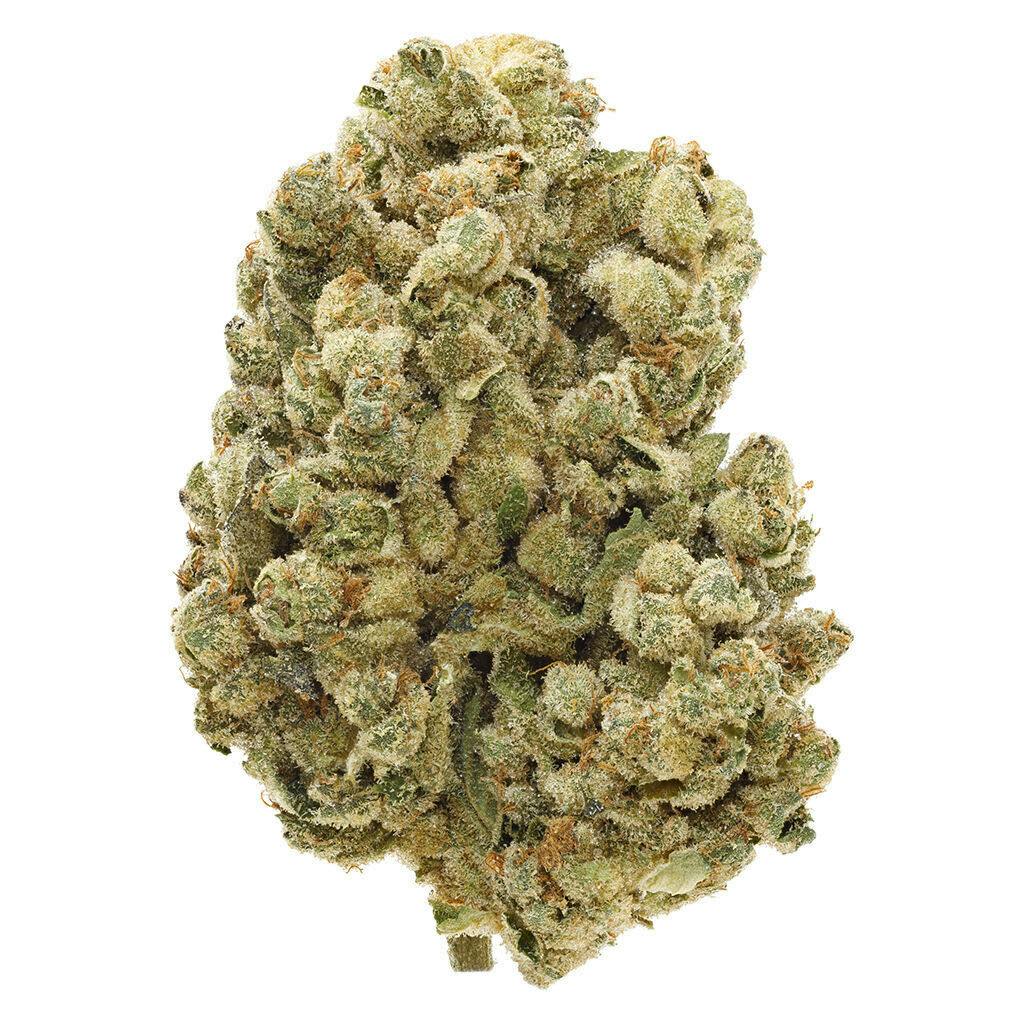 Sourdough Flower | 14g~