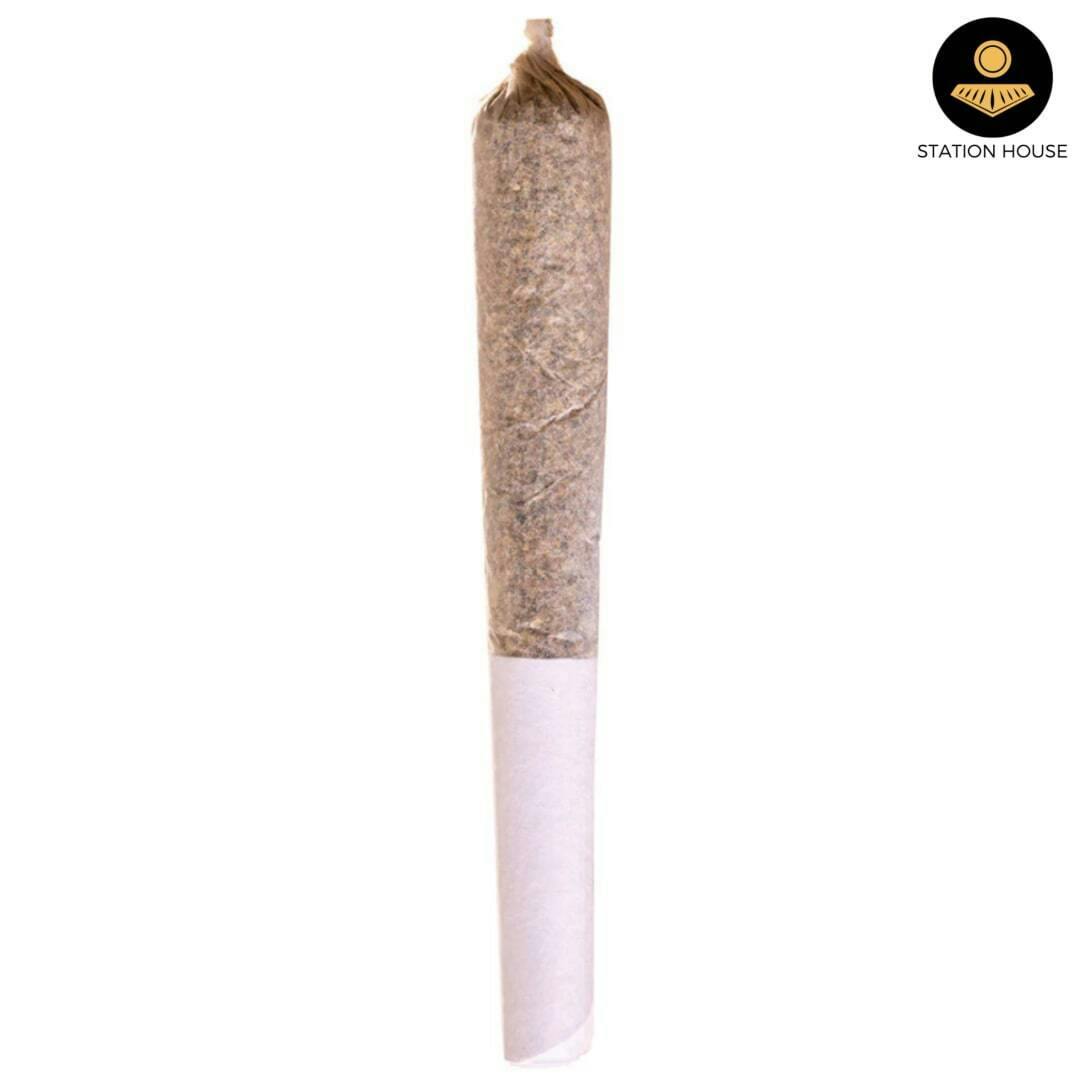 Station House | Ghost Train Haze Pre-Roll | 1x0.5g