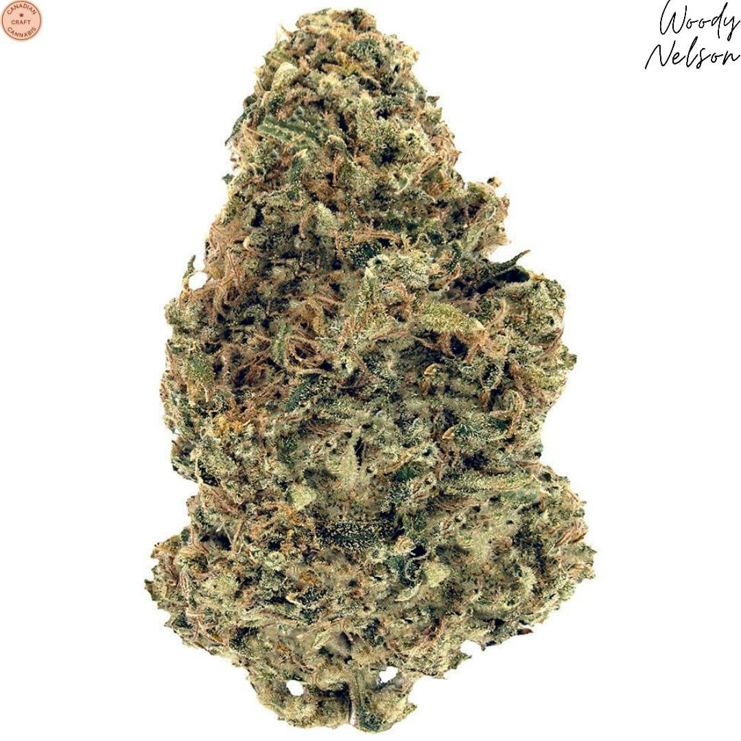 Woody Nelson | Warehouse Premium Smalls Craft Flower | 28g~