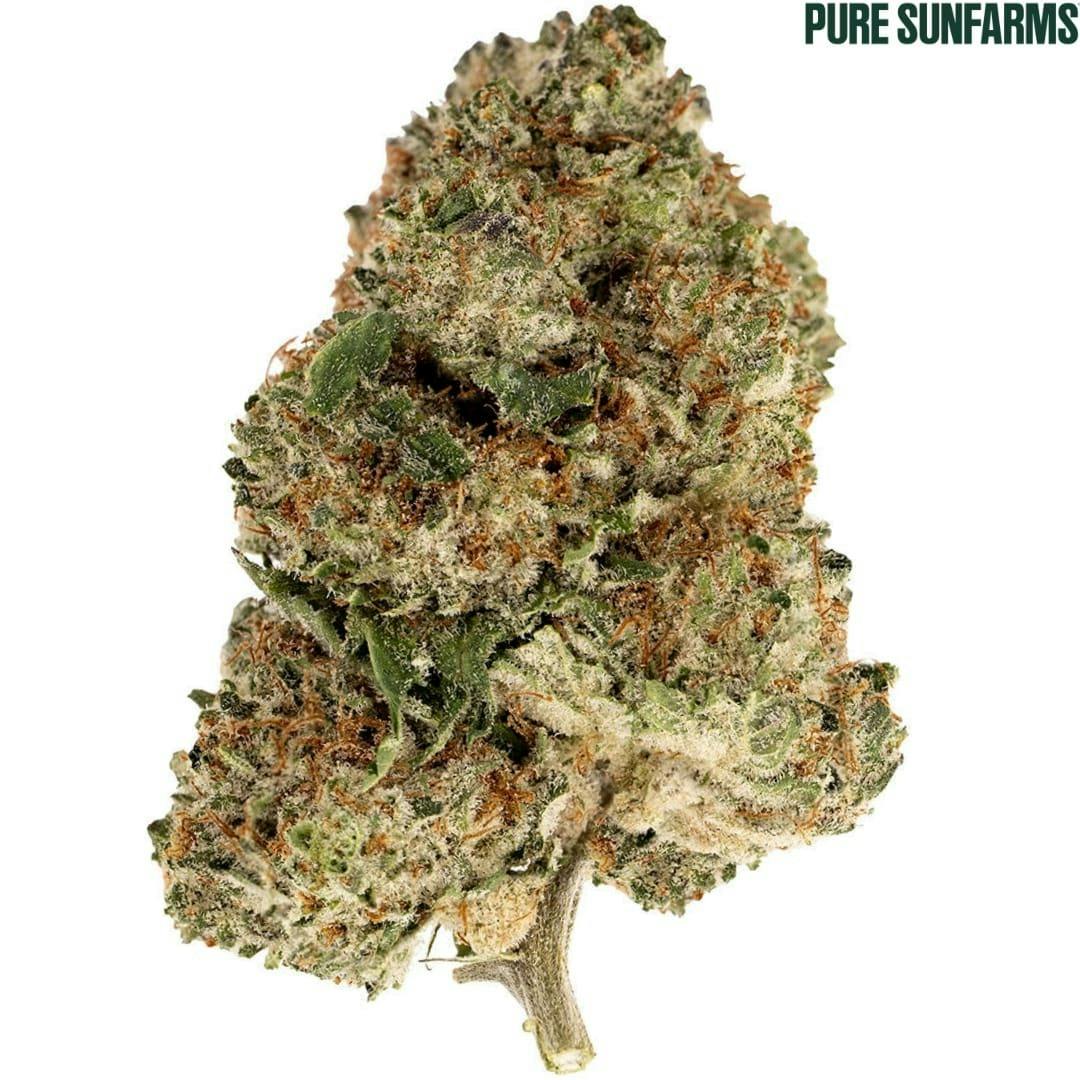 Pure Sunfarms | Pink Rhino Flower | 28g