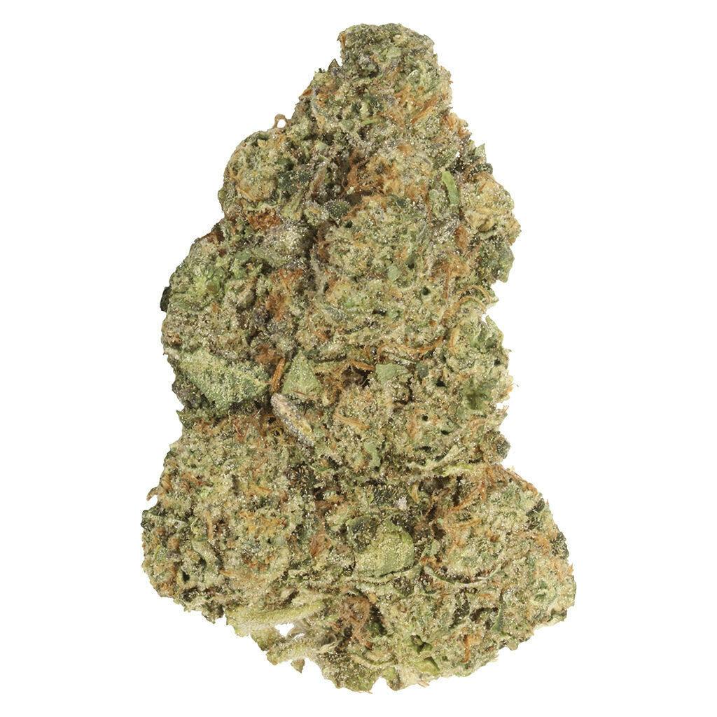Carmel | Spiked Mai Tai Craft Flower | 7g