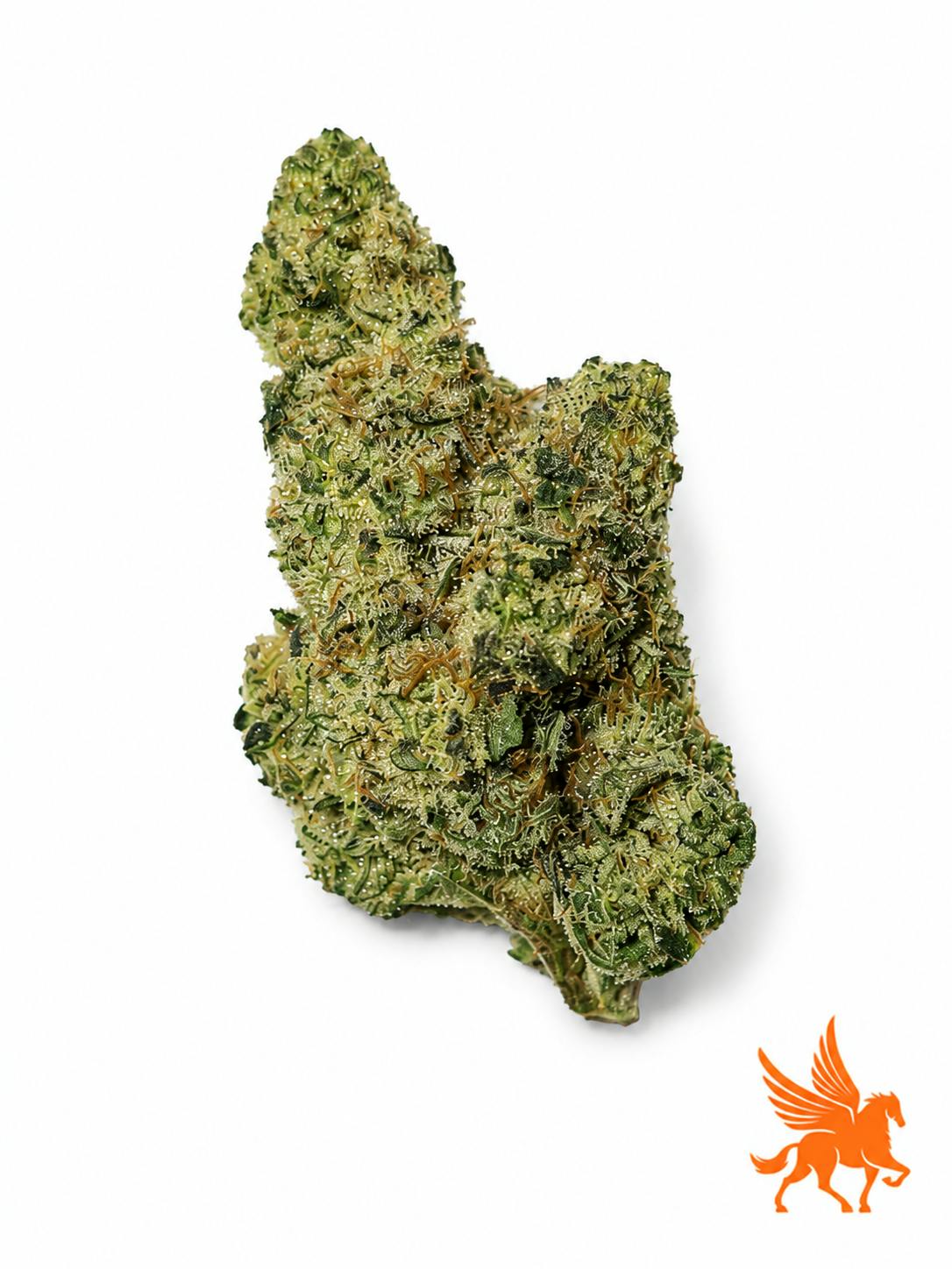 PLATINUM HIGH
