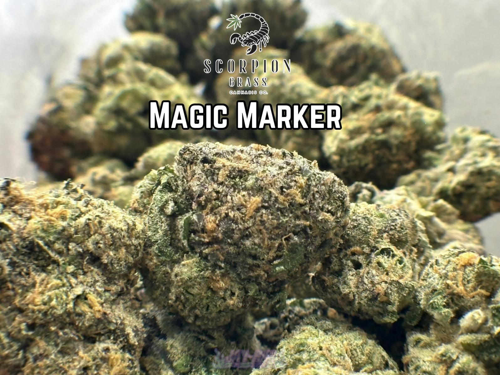 (I) Magic Marker Deli by SCORPION GRASS