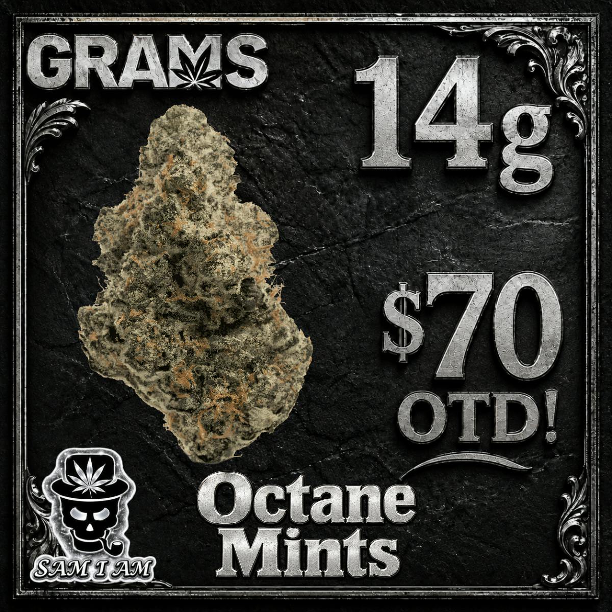 OCTANE MINTS 14G