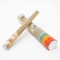 Apple Jacks - 2 Pack .5G Pre-Roll
