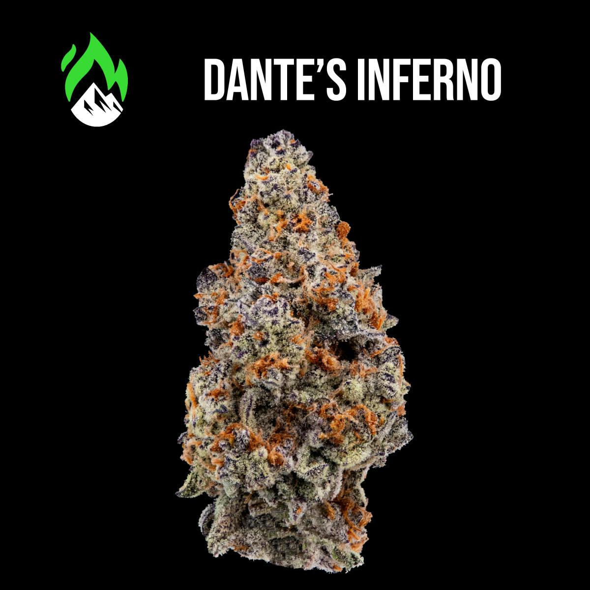 Wildfire- Dante's Inferno - Flower