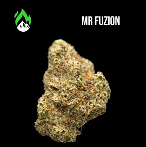 Mister Fuzion - Flower