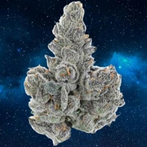 Zero Gravity - Blue Nova
