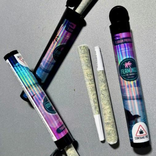 Flamingo Fine Cannabis - Blueberry Sugar - .5g 2pck Pre Rolls