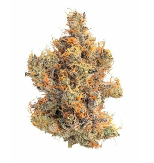 Nor' Easter Ounce - Zero Gravity