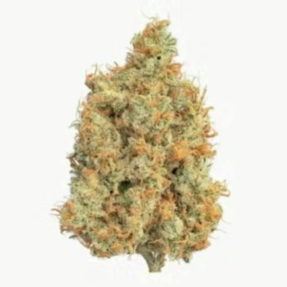 Mr. Clean Half Ounce - Zero Gravity