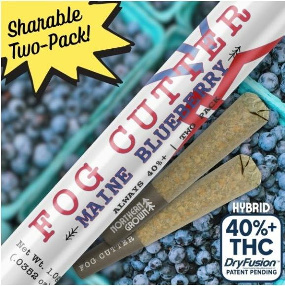 Fog Cutter Infused Pre-Rolls - Maine Blueberry - .5G Two Pack
