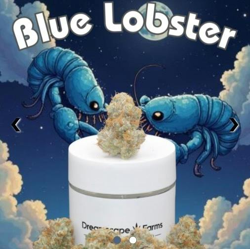 Dreamscape Farms - Blue Lobster