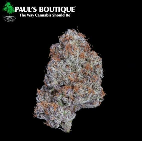 Paul's Boutique - Ice Cream Cake