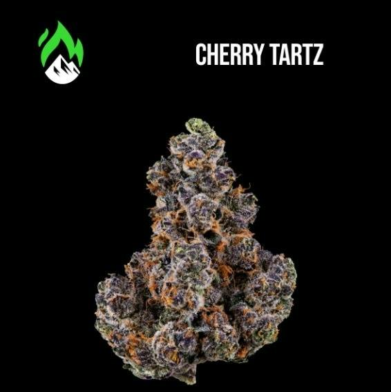 Wildfire - Cherry Tartz - Flower at HighNorth Mystique of Maine - Brewer