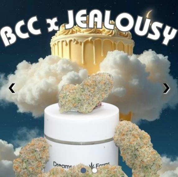 Dreamscape Farms - BCC x Jealousy at HighNorth Mystique of Maine - Brewer