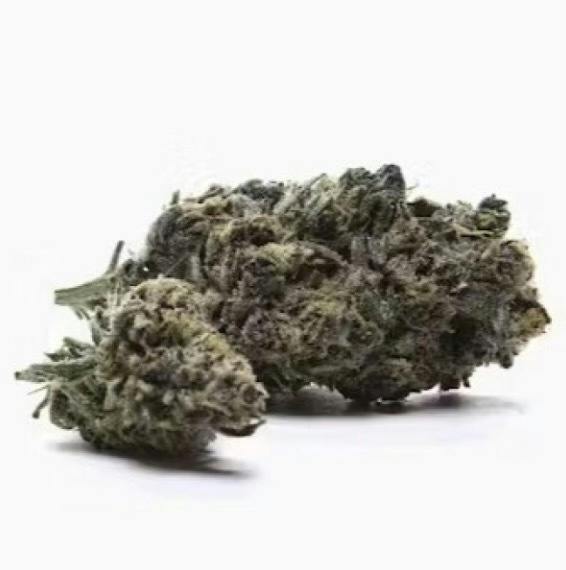 Zero Gravity - Deadhead OG at HighNorth Mystique of Maine - Brewer
